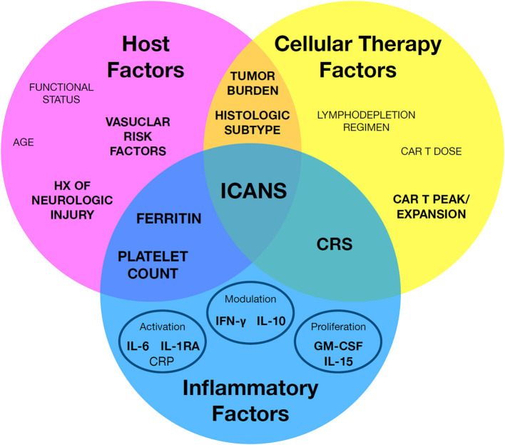 Fig.1 A systematic approach to mapping recognized risk factors for CANS. (OA Literature)
