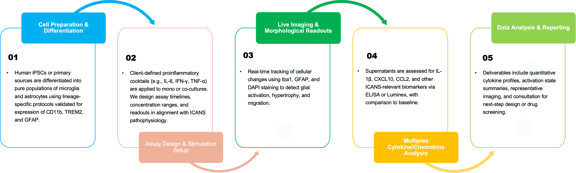 Microglia and astrocyte activation assay procedure. (Creative Biolabs Original)