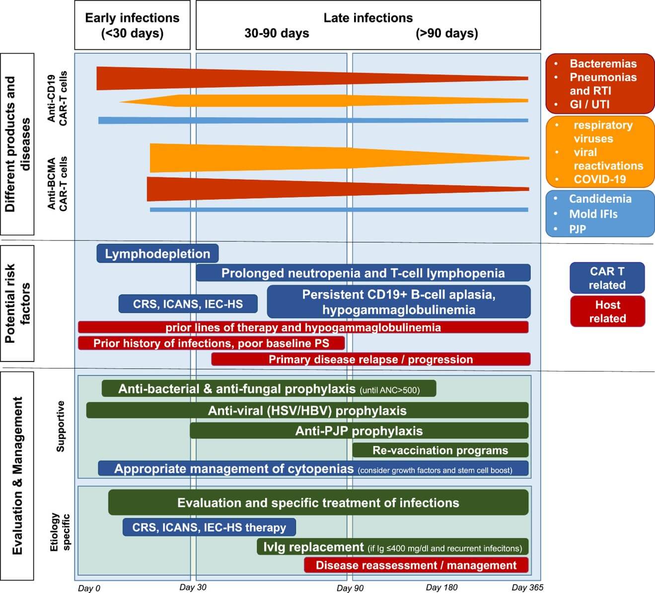Fig.1 Outline of infections occurrence, possible etiologies and management. (OA Literature)