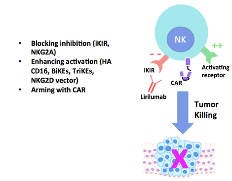 NK cell engineering strategies to enhance NK cell cytotoxicity against tumors.