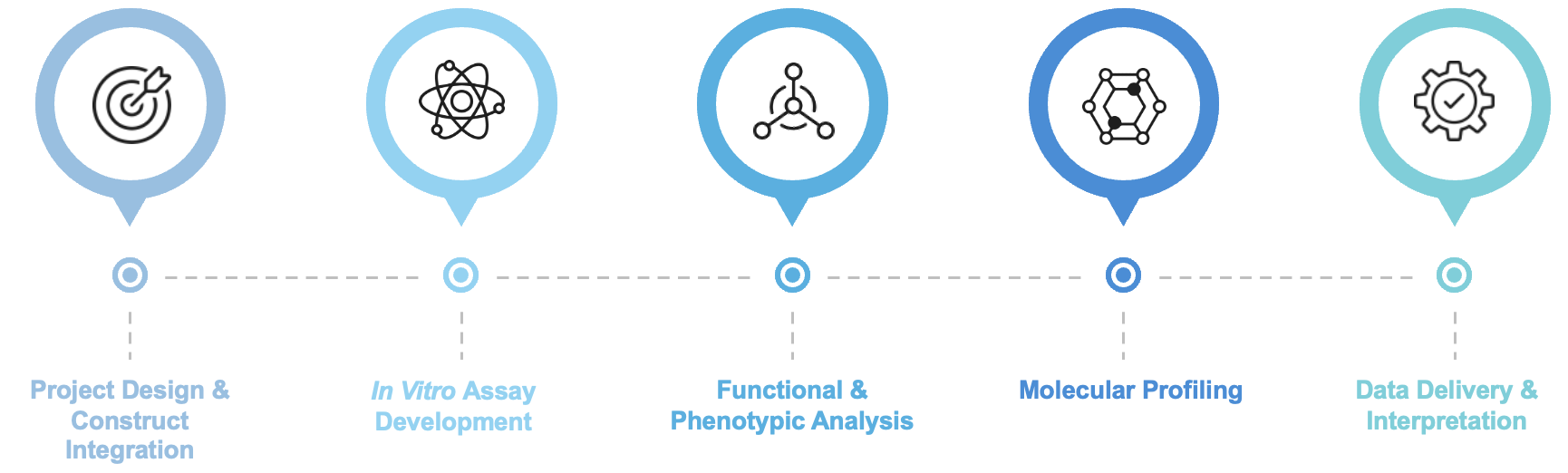 Fig.2 Workflow of this service. (Creative Biolabs Original)