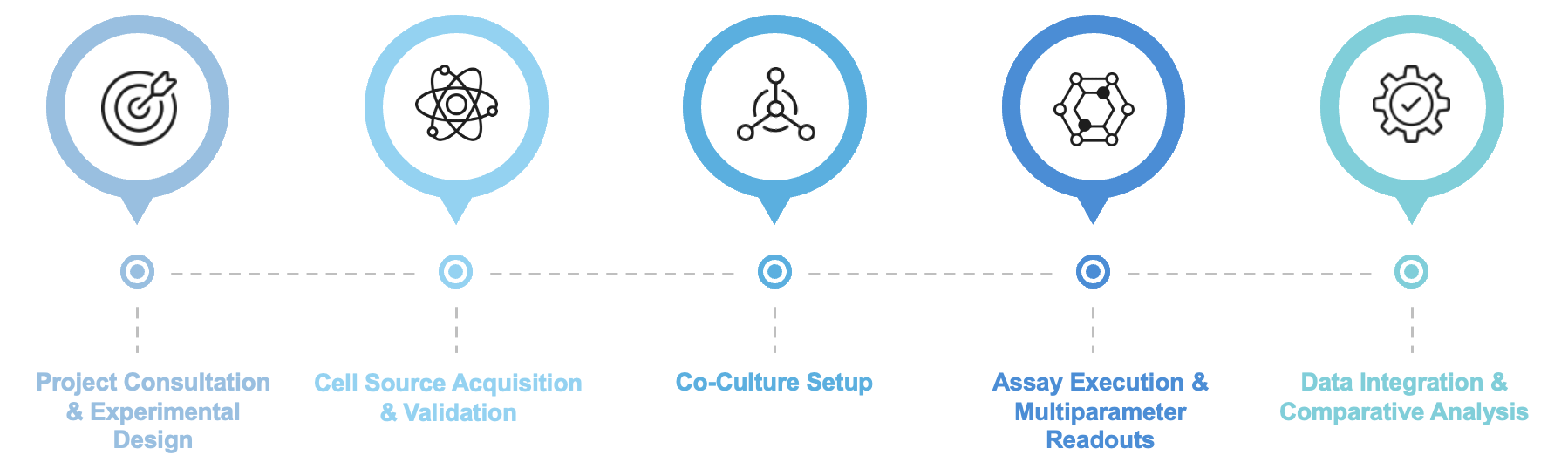 Fig.1 Workflow of this service. (Creative Biolabs Original)