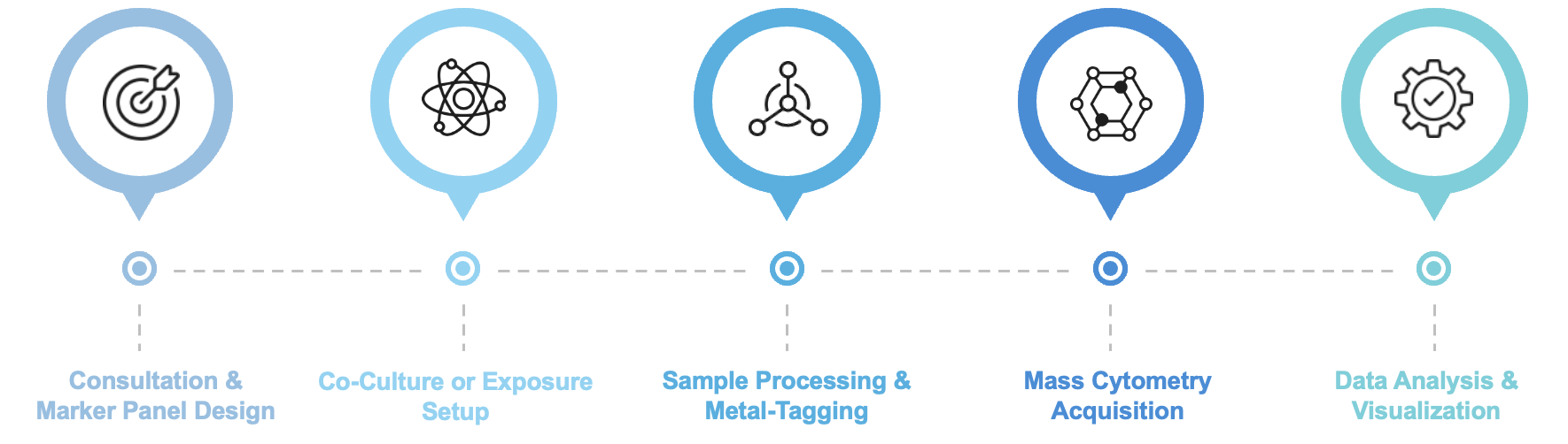 Fig.2 Workflow of this service. (Creative Biolabs Original)