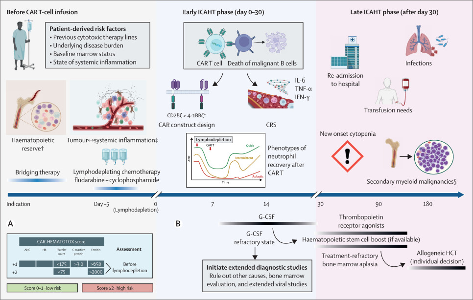 Fig.1 Hematologic Toxicity Schedule. (OA Literature)