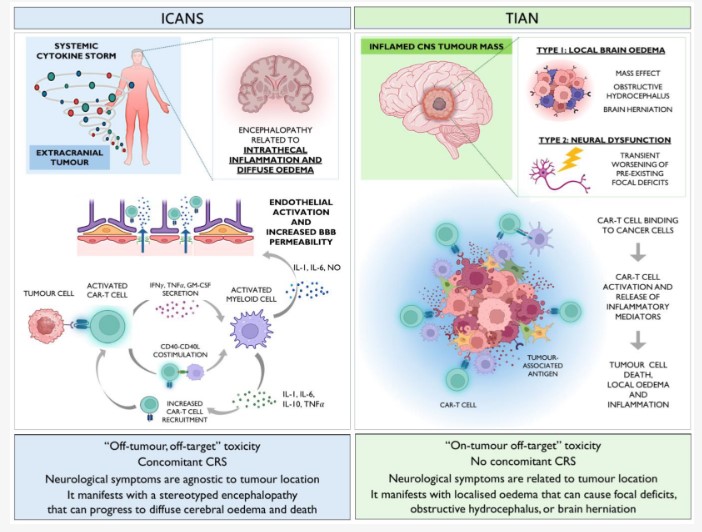 Fig.1 ICANS and TIAN. (OA Literature)