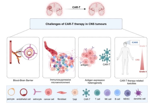 Fig.1 Challenges for CAR-T therapy. (OA Literature)