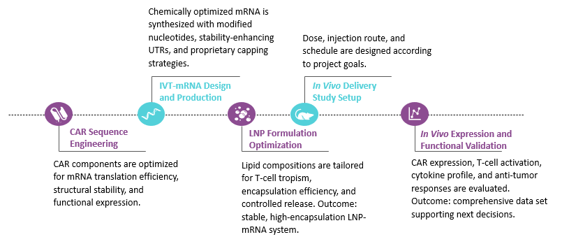Workflow of In Vivo IVT mRNA-based CAR-T Cell Engineering. (Creative Biolabs Original)