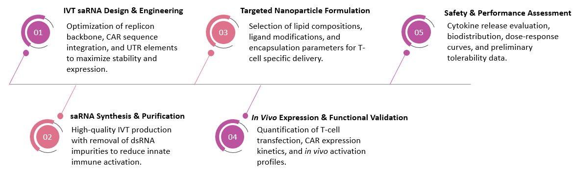 Workflow of In Vivo CAR-T Development with IVT saRNA Technology. (Creative Biolabs Original)
