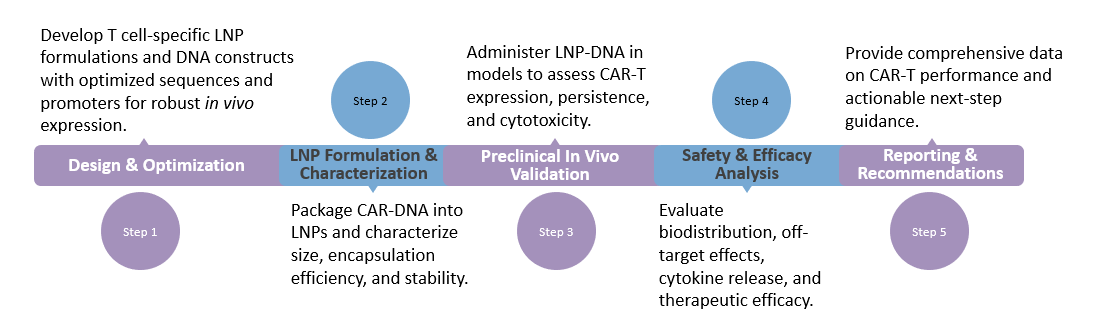 Workflow of In Vivo CAR-T Development with LNP-DNA Technology. (Creative Biolabs Original)