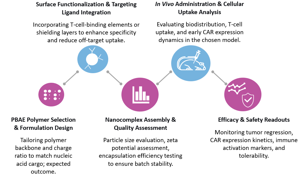 Workflow of In Vivo CAR-T Development with PBAE Nanocomplex Technology. (Creative Biolabs Original)