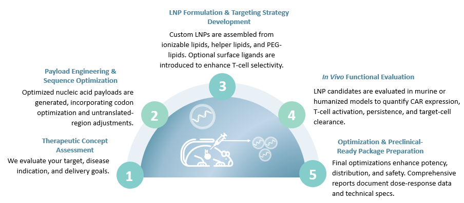 Workflow of In Vivo CAR-T Development with Lipid Nanoparticle Technology. (Creative Biolabs Original)