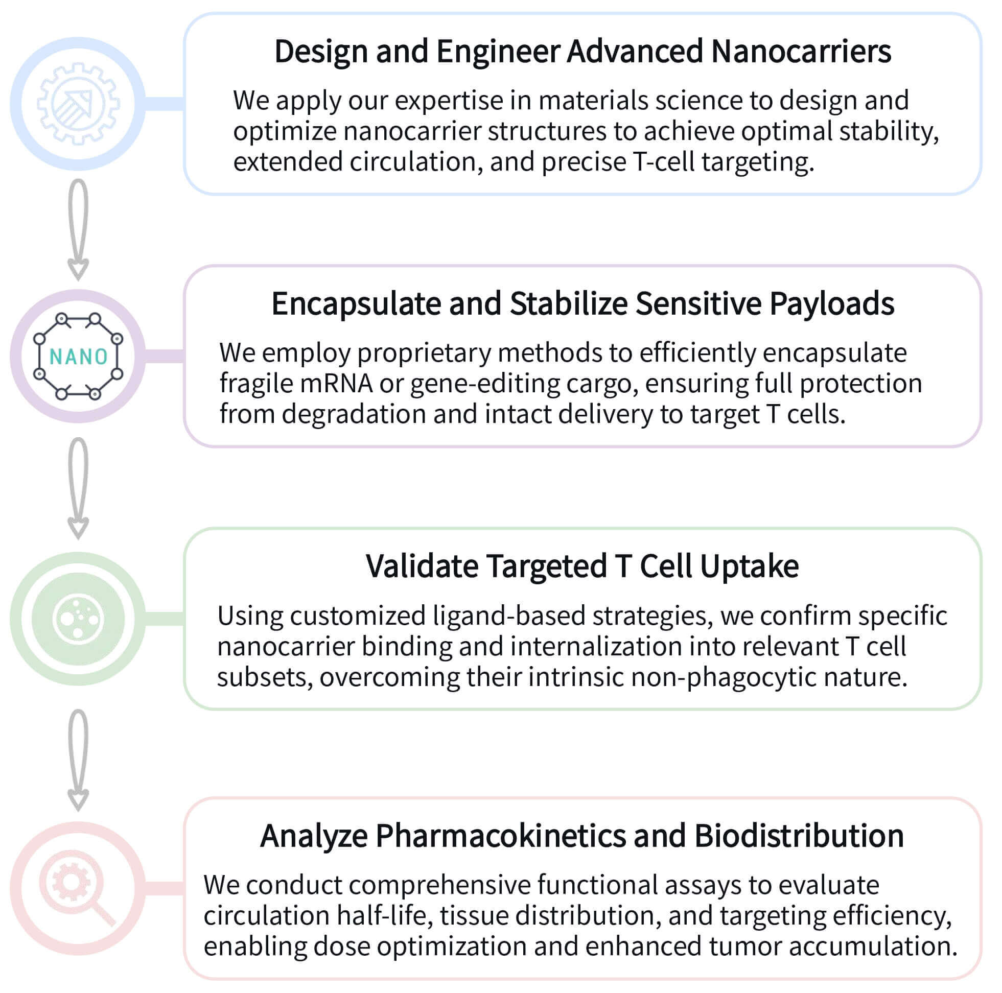 Workflow of in vivo CAR-T development with synthetic nanocarrier technology at Creative Biolabs. (Creative Biolabs Original)