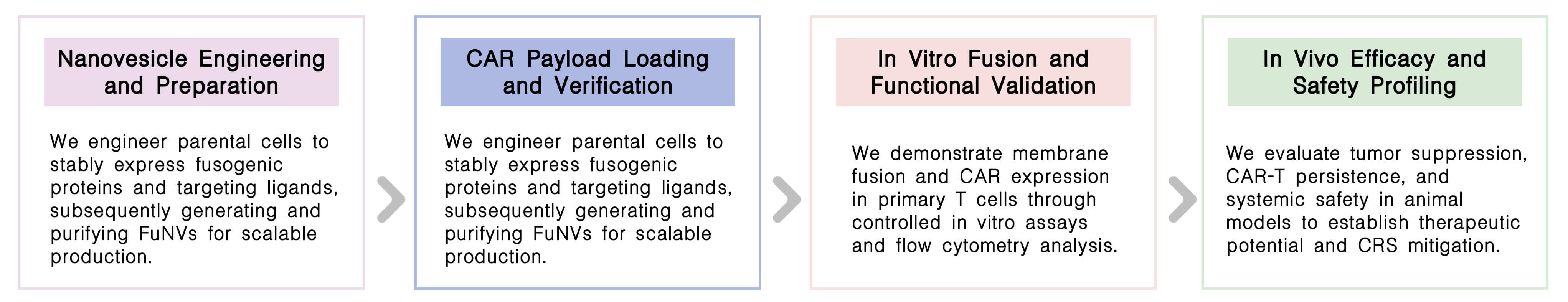 Workflow of in vivo CAR-T development with FuNVs technology at Creative Biolabs. (Creative Biolabs Original)
