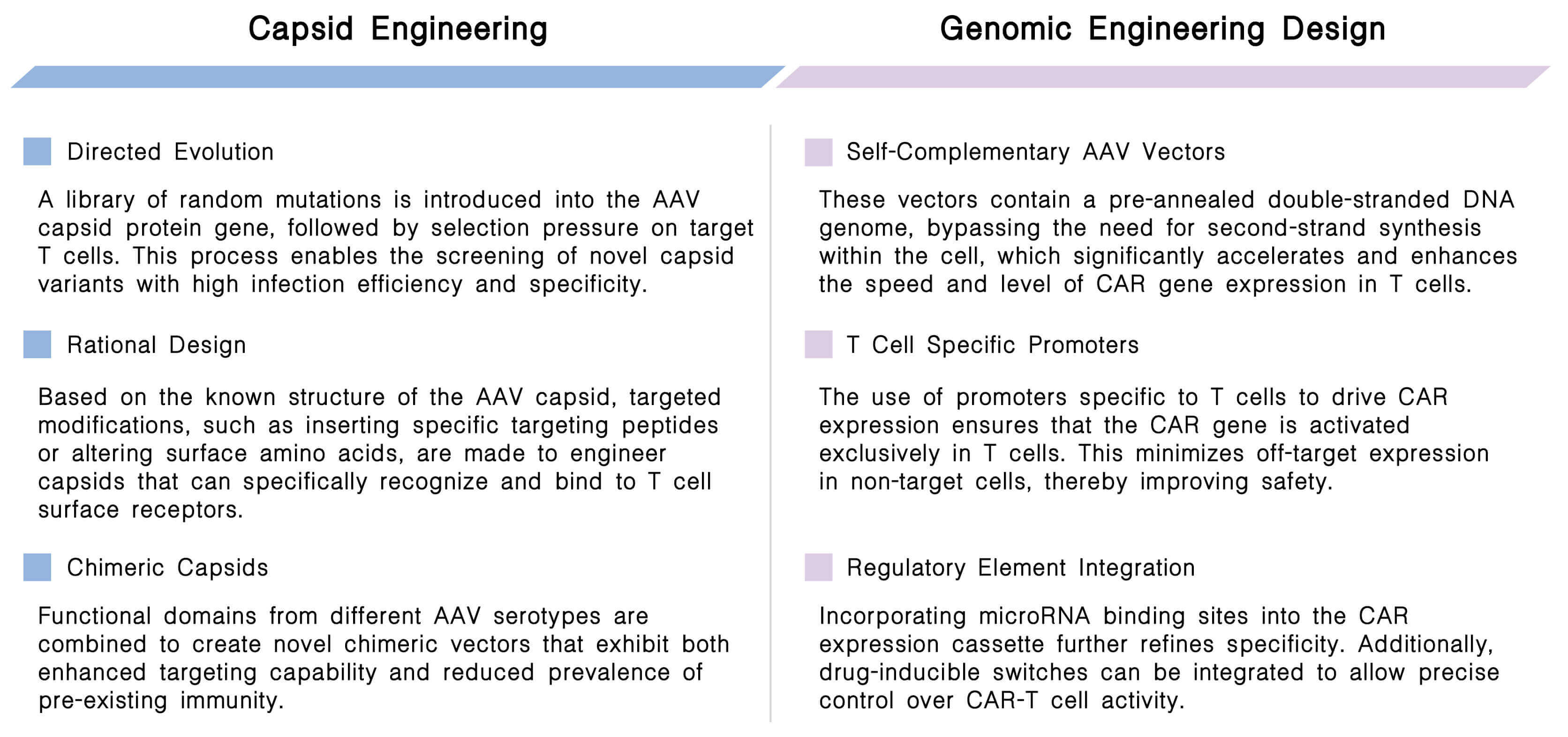 Featured services of in vivo CAR-T development with AAV vector technology at Creative Biolabs. (Creative Biolabs Original)