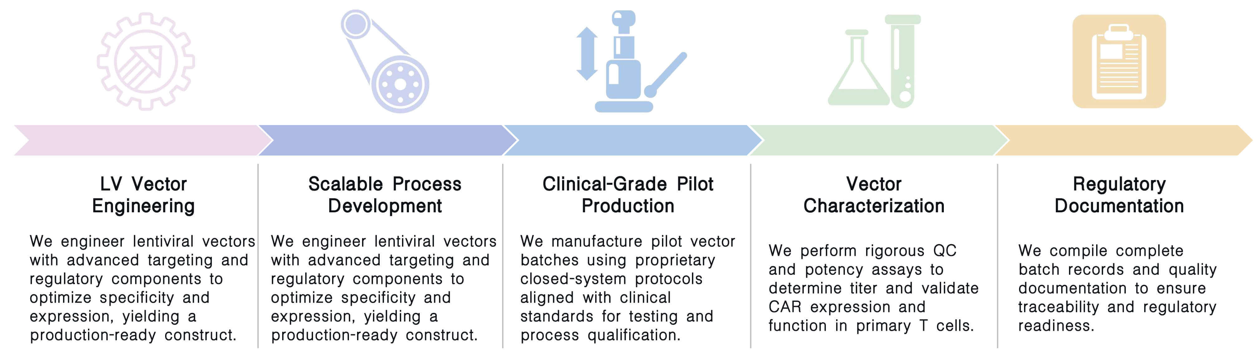 Workflow of in vivo CAR-T development with lentivirus technology at Creative Biolabs. (Creative Biolabs Original)