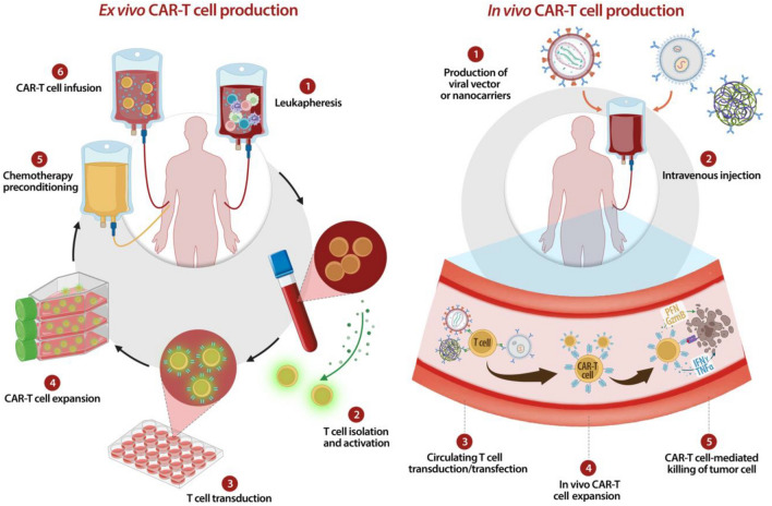 Fig.1 Advances in CAR-T production: ex vivo methods vs in vivo strategies. (OA Literature)