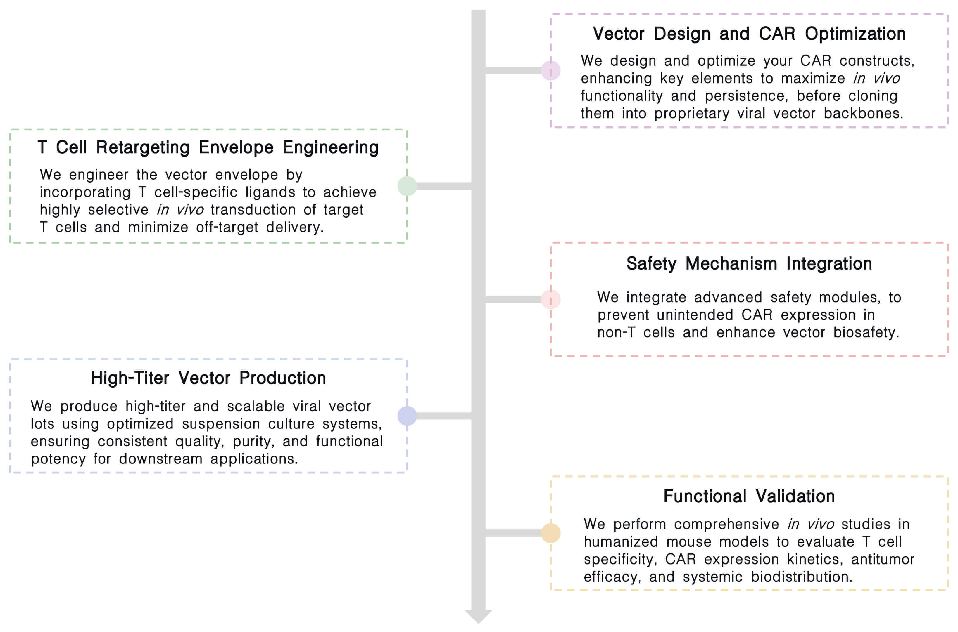 Workflow of in vivo viral-based CAR-T development services at Creative Biolabs. (Creative Biolabs Original)