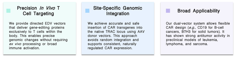 Featured services of in vivo site-specific CAR-T engineering via EDV/AAV dual-vector systems at Creative Biolabs. (Creative Biolabs Original)