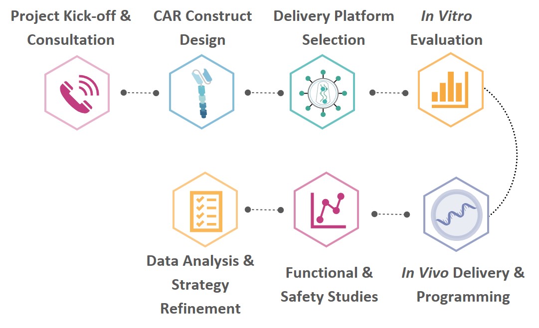 Workflow of In Vivo CAR-T Cell Engineering. (Creative Biolabs Original)