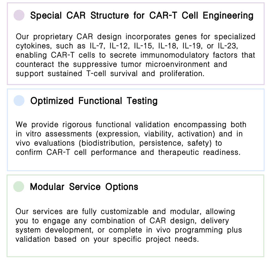 Our comprehensive in vivo CAR-T development solutions. (Creative Biolabs Original)