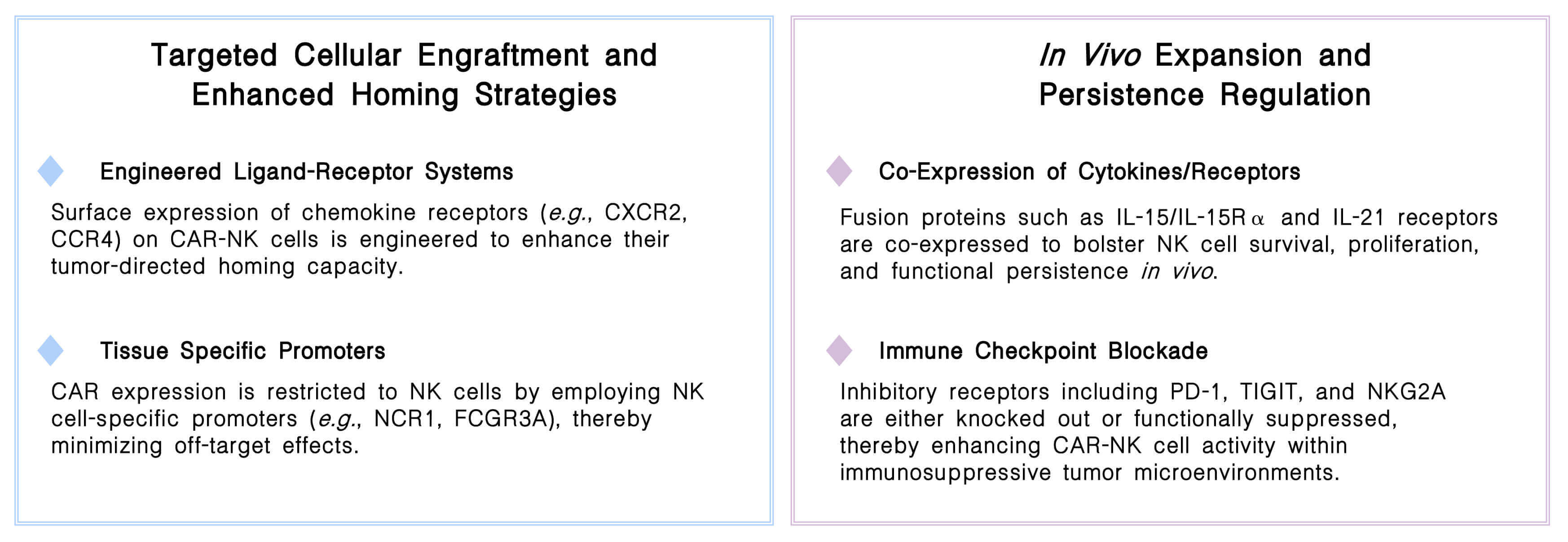 Featured services of CellRapeutics™ In Vivo CAR-NK cell engineering service at Creative Biolabs. (Creative Biolabs Original)