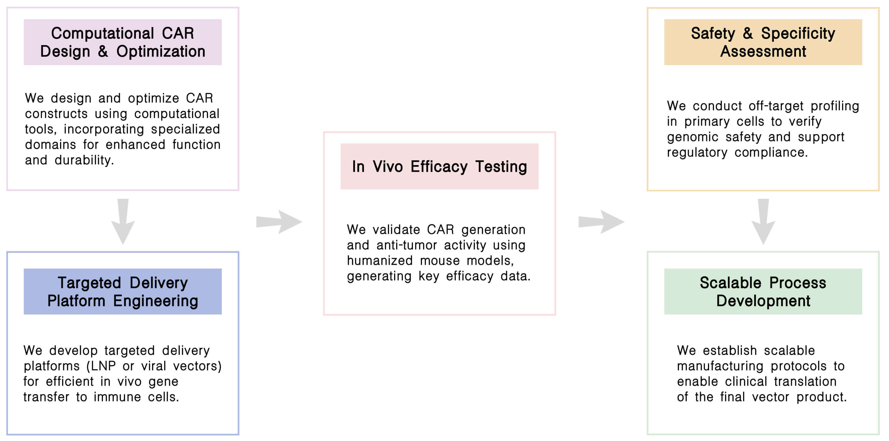 Workflow of CellRapeutics™ In Vivo CAR-NK cell engineering service at Creative Biolabs. (Creative Biolabs Original)