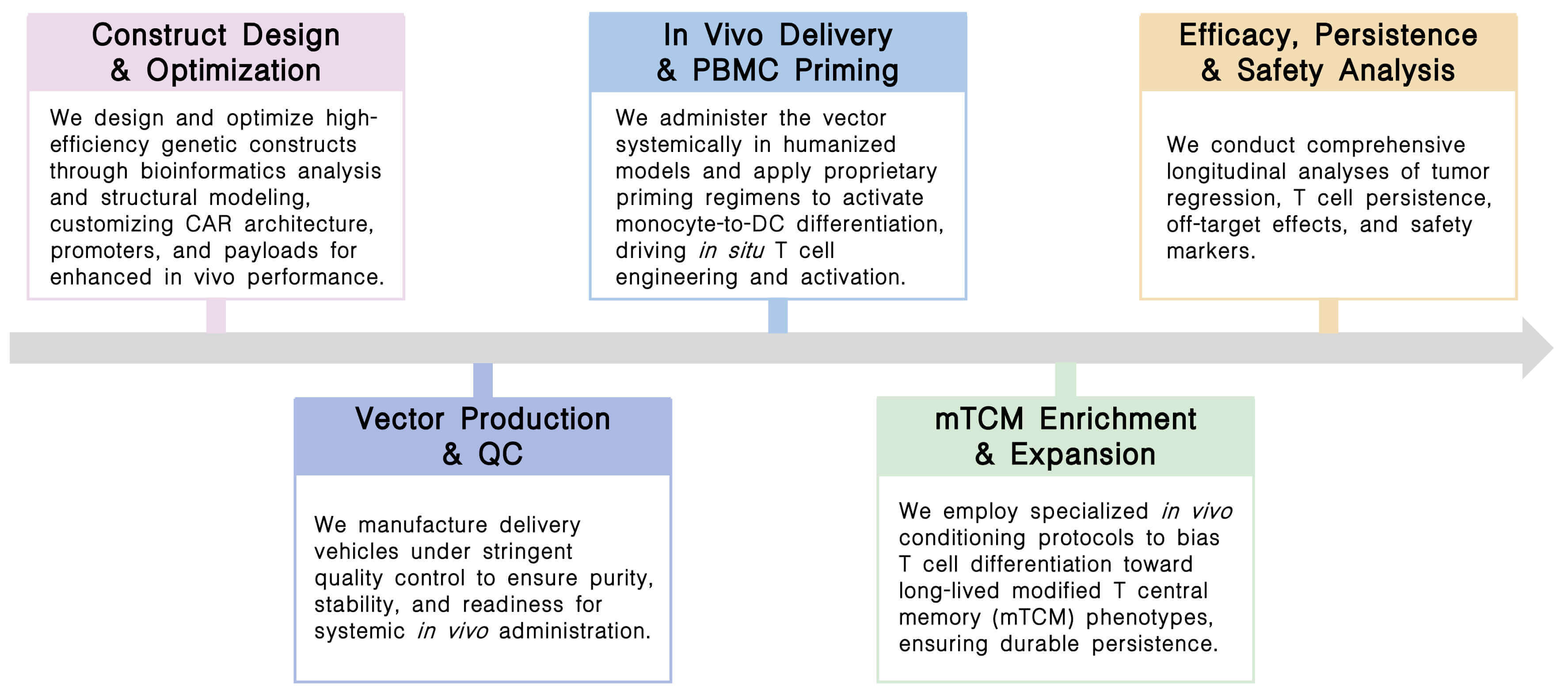 Workflow of CellRapeutics™ in vivo PBMC engineering service at Creative Biolabs. (Creative Biolabs Original)