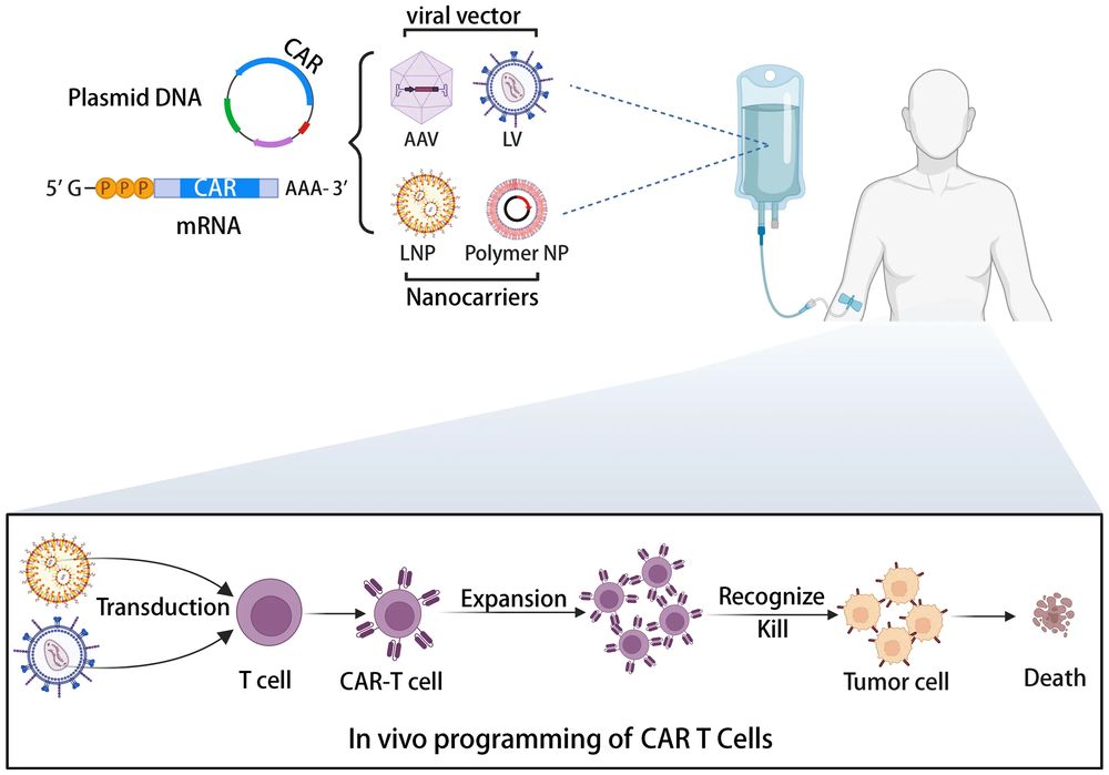Fig.1 In vivo generation of CAR-T cells via nano-delivery platforms. (OA Literature)