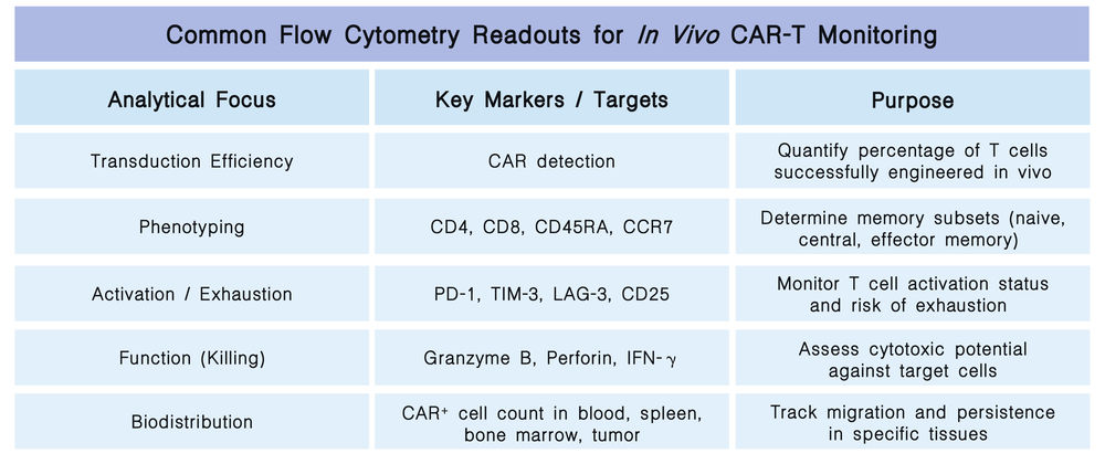 Featured services of flow cytometry solutions for in vivo CAR-T delivery: LNP & viral vector characterization at Creative Biolabs. (Creative Biolabs Original)