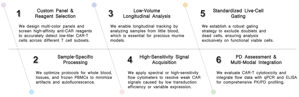 Workflow of flow cytometry solutions for in vivo CAR-T delivery: LNP & viral vector characterization at Creative Biolabs. (Creative Biolabs Original)