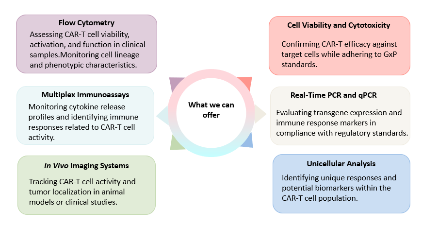 Analysis of GxP-Compliant Flow Cytometry Services. (Creative Biolabs Original)
