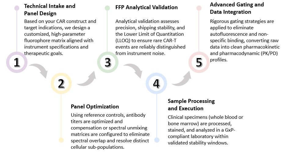 Workflow of GxP-Compliant Flow Cytometry Services. (Creative Biolabs Original)