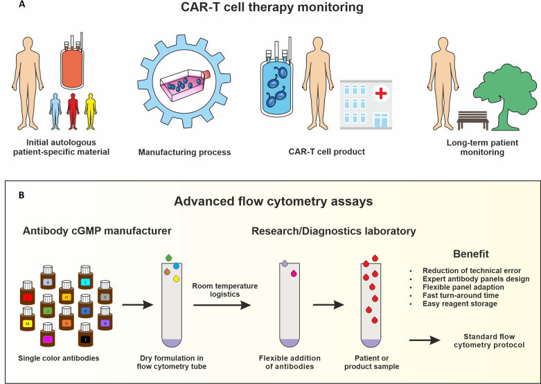 Fig.1 Assays for tracking immune responses in both the production process and clinical application of CAR-T cells.. (OA Literature)
