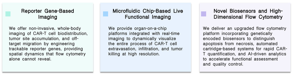 Featured services of real-time monitoring of in vivo CAR-T transduction success via advanced flow cytometry at Creative Biolabs. (Creative Biolabs Original)