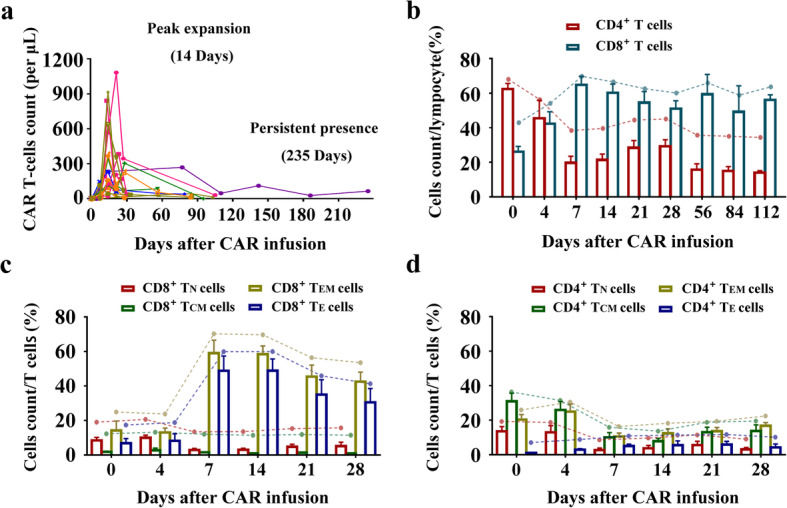 Fig 1 The amplification dynamics of CAR T cells and functionally distinct T cell fractions. (OA Literature)