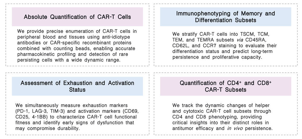 Featured services of tracking in vivo CAR-T cell kinetics and long-term persistence with quantitative flow cytometry at Creative Biolabs. (Creative Biolabs Original)