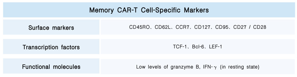 Memory CAR-T Cell-Specific Markers. (Creative Biolabs Original)