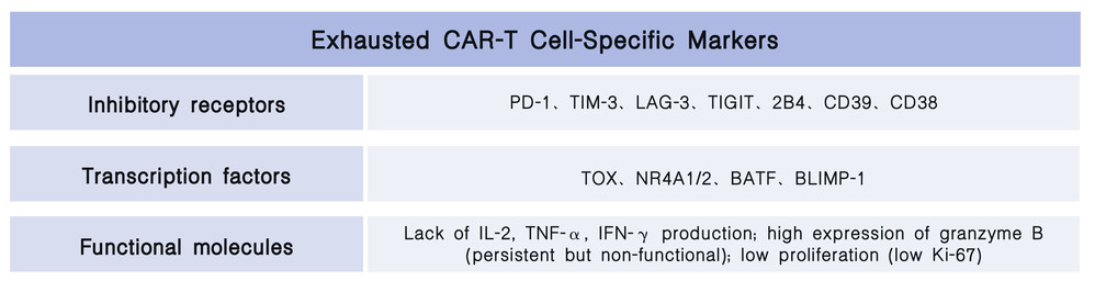 Exhausted CAR-T Cell-Specific Markers. (Creative Biolabs Original)