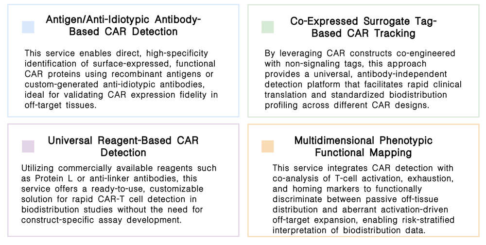 Featured services of flow cytometry-based biodistribution studies: mapping in vivo CAR-T off-target risks at Creative Biolabs. (Creative Biolabs Original)