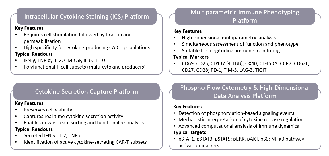 Analysis of Flow Cytometry Assays for Monitoring Cytokine Release in In Vivo CAR-T Therapy. (Creative Biolabs Original)