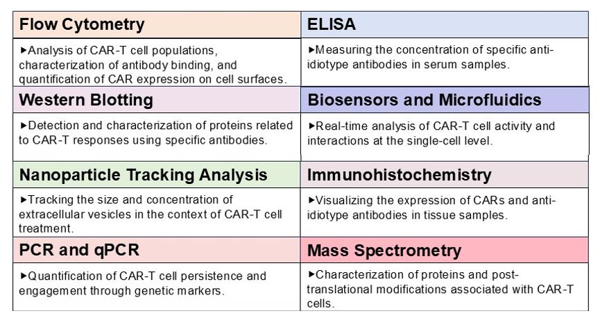 Analysis of Specialized Reagents Development for In Vivo CAR-T Detection. (Creative Biolabs Original)