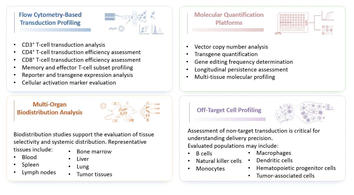 Analysis of Target T-Cell Transduction Efficiency & Specificity Profiling. (Creative Biolabs Original)