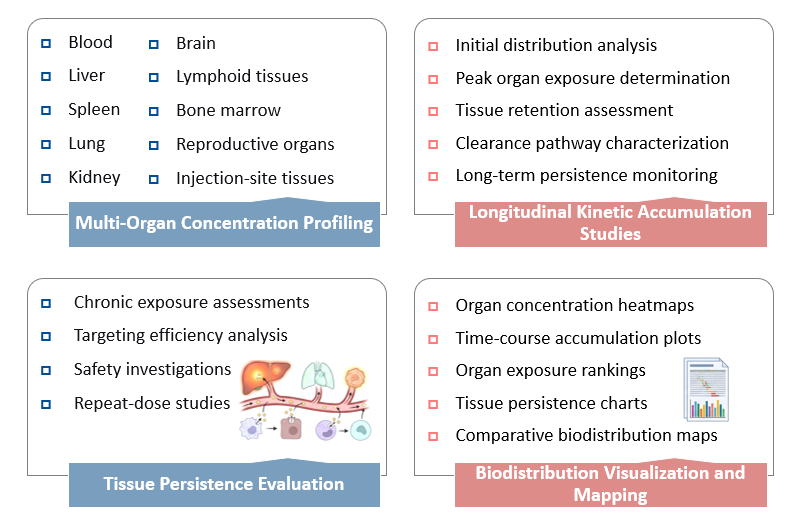 Analysis of In Vivo Organ Concentration & Kinetic Accumulation Mapping. (Creative Biolabs Original)