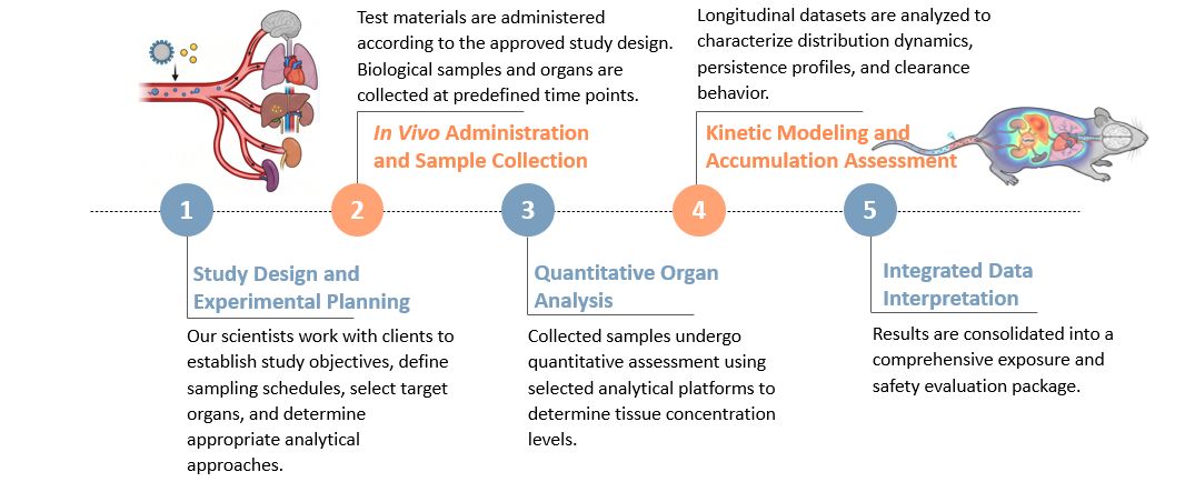 Workflow of In Vivo Organ Concentration & Kinetic Accumulation Mapping. (Creative Biolabs Original)