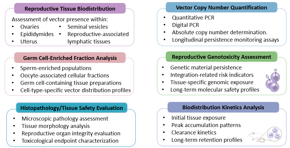 Analysis of Germline Transmission & Reproductive Genotoxicity Screening. (Creative Biolabs Original)