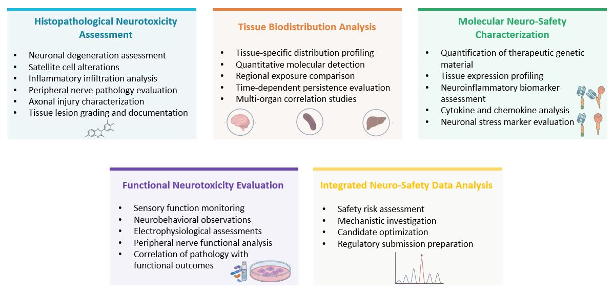 Analysis of Targeted Neurotoxicity within Sensitive Peripheral Nervous Tissues. (Creative Biolabs Original)