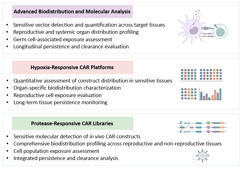Analysis of Germline Transmission & Sensitive Tissue Testing (DRG) for In Vivo CAR. (Creative Biolabs Original)