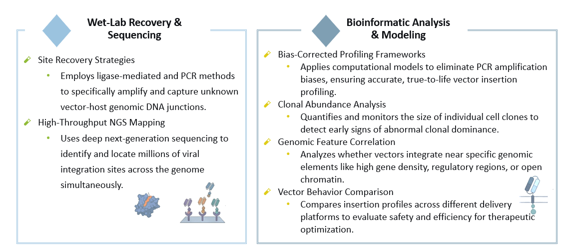 Analysis of Genome-Wide Vectorial Randomness Assessment. (Creative Biolabs Original)