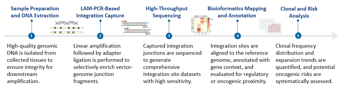 Workflow of Genome-Wide Vectorial Randomness Assessment. (Creative Biolabs Original)