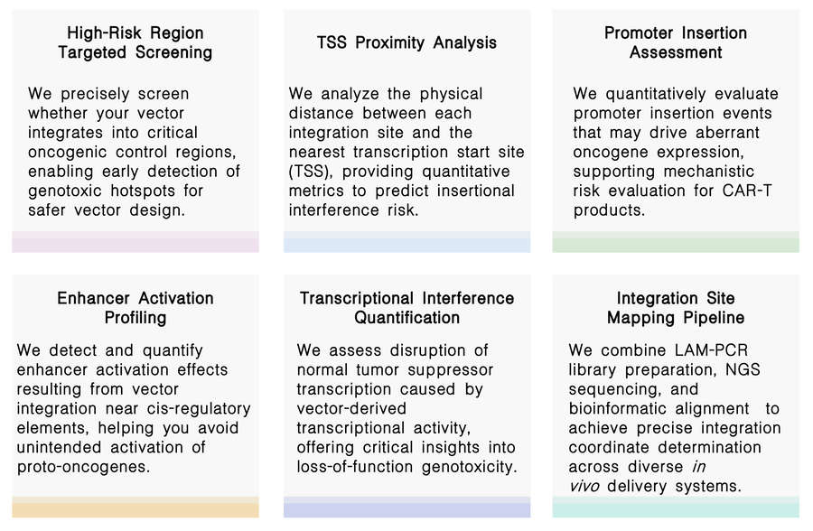 Featured services of oncogene/tumor suppressor proximity profiling & transcription interference assessment services at Creative Biolabs. (Creative Biolabs Original)